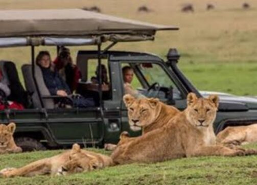 4 Days Masai Mara Express